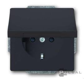 Розетка
Carat,  ДИНАСТИЯ,  Busch-axcent,  Future linear,  без шторок,  с крышкой,  с заземлением,  одинарная,  безвинтовые клеммы,   цвет - антрацит,  пластмасса,  20 EUK-81,  2CKA002018A1486,  ABB
 - PULSAL.RU