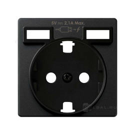 Накладка
Simon 82 Concept,  USB type-A 5V,  Электр. с USB,  двойная,   цвет - черный матовый,  8200049-098,  Simon
 - PULSAL.RU