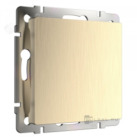 Заглушка
Alumax,  Split,  Slab,  Senso,  Baguette,  Acrylic,  Platinum,  Elite,  Snabb,  Stream,  Flock,  Stark,  Fiore,  Favorit,  Diamant,  Aluminium,  Antik,  Metallic,   цвет - шампань рифленый,  пластмасса,  W1159210,  a051417,  Werkel
 - PULSAL.RU