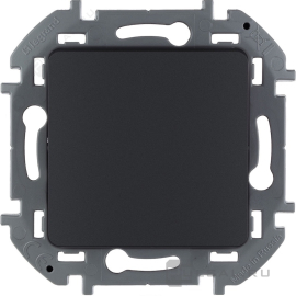 Переключатель
Inspiria,  одноклавишный,  без подсветки,   цвет - антрацит,  пластмасса,  673653,  6 736 53,  Legrand
 - PULSAL.RU