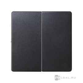 Клавиши
Simon 82 Detail,  Simon 82 Nature,  Simon 82,  двухклавишный,  без подсветки,  с возможностью подсветки,   цвет - графит,  пластмасса,  82026-38,  Simon
 - PULSAL.RU