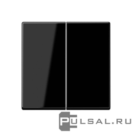 Клавиши
A VIVA,  A creation,  A 550,  A flow,  двухклавишный,  без подсветки,   цвет - черный,  пластмасса,  A595SW,  A 595 SW,  JUNG
 - PULSAL.RU