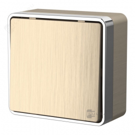 Выключатель
Gallant,  одноклавишный,  без подсветки,   цвет - шампань рифленый,  пластмасса,  W5010010,  a051039,  Werkel
 - PULSAL.RU