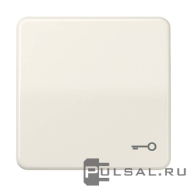 Клавиша "Ключ"
CD ударопрочная,  одноклавишный,  без подсветки,   цвет - слоновая кость,  пластмасса,  CD590BFT,  CD 590 BFT,  JUNG
 - PULSAL.RU