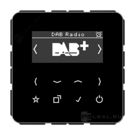 Цифровое радио DAB+
CD 500,  CD plus,   цвет - черный,  пластмасса,  DABCDSW,  DAB CD SW,  JUNG
 - PULSAL.RU